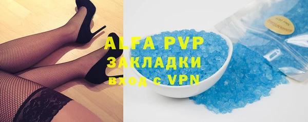 прущие грибы Абаза