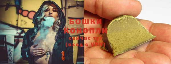прущие грибы Абаза