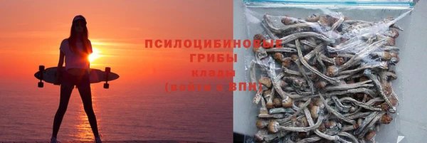 прущие грибы Абаза